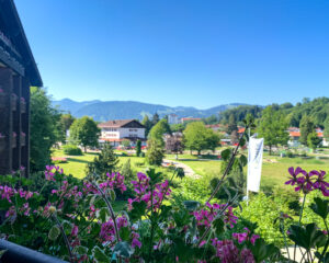 Bergblick vom Balkon